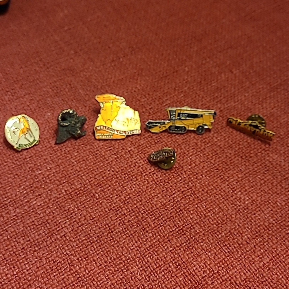 Vintage Pin Collection 17 In Total. - Picture 5 of 8